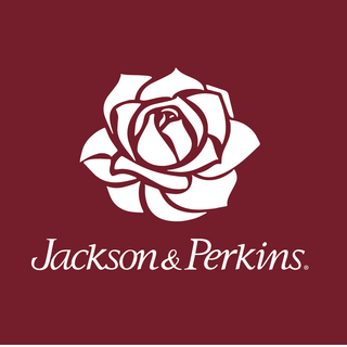 jackson-perkins